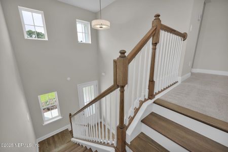 New construction Single-Family house 336 Blue Hampton Dr, Ponte Vedra, FL 32081 plan Sebring - image 18