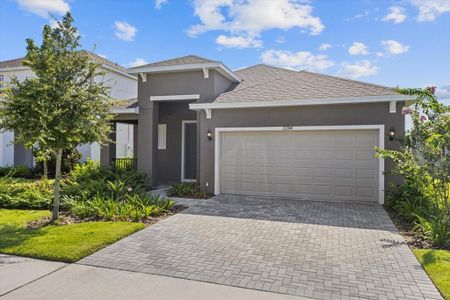 New construction Single-Family house 2257 Sirena Ln, Mount Dora, FL 32757 plan Daytona - image