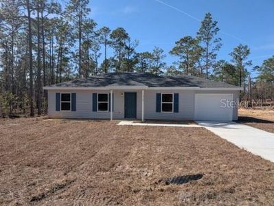 New construction Single-Family house 316 Nw Narcissus Rd, Dunnellon, FL 34431 null- photo 0