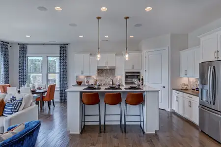 New construction Single-Family house 3010 River Falls Dr, Tega Cay, SC 29708 plan Laney - image 10