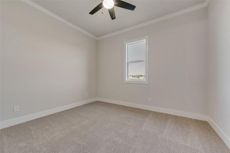 New construction Single-Family house 1342 Benjamin Trl, Van Alstyne, TX 75495 plan Carter - image 18