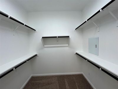 New construction Single-Family house 5319 Bruno St, Hutto, TX 78634 - image 15