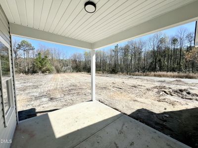 New construction Single-Family house 115 Sagewood Dr, Dudley, NC 28333 - image