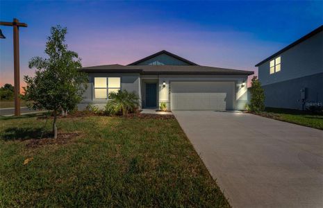 New construction Single-Family house 12836 Wanderlust Pl, Parrish, FL 34219 plan Chapman - image