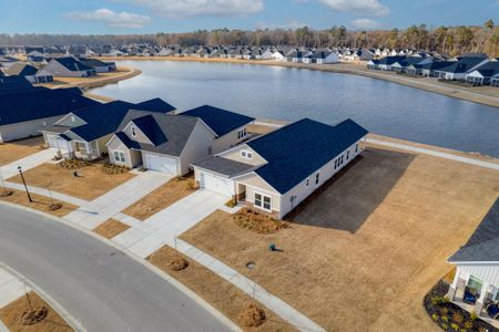 New construction Single-Family house 1170 Cane Creek Way, Summerville, SC 29485 Waverly- photo 6 6