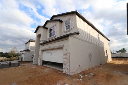 New construction Single-Family house 38338 Tobiano Loop, Dade City, FL 33525 Mira Lago- photo 108 108