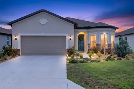 New construction Single-Family house 8644 Sw 59Th Lane Rd, Ocala, FL 34481 - image