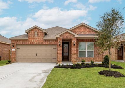 New construction Single-Family house 10730 Sky Creek Lane, Beasley, TX 77417 - photo 0