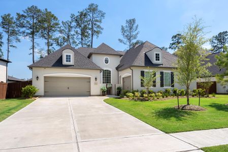 New construction Single-Family house 12932 Whitewater Wy, Conroe, TX 77302 - image