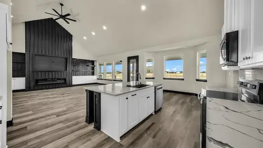 New construction Single-Family house 300 Jupiter Trl, Weatherford, TX 76088 - image 6