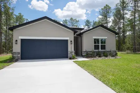 New construction Single-Family house 2424 Sw 159 Ln, Ocala, FL 34473 - image
