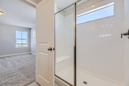 New construction Single-Family house 13832 Honey Hush Trl, Parker, CO 80108 plan Braeburn - image 17