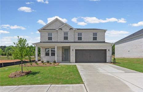 New construction Single-Family house 256 Nesta Grove, Locust Grove, GA 30248 - image