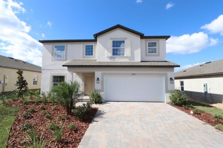 New construction Single-Family house 12219 Hilltop Farms Dr, Dade City, FL 33525 Malibu- photo 86 86