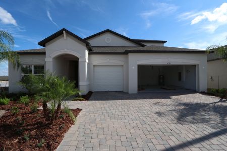 New construction Single-Family house 4774 Beachrose Way, Lakeland, FL 33811 Barcello Bonus- photo 5 5