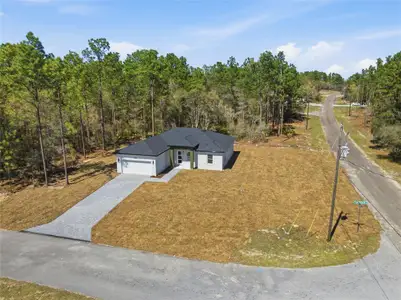 New construction Single-Family house 3737 W Capricorn Ln, Citrus Springs, FL 34433 - image