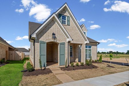 New construction Single-Family house 10250 Louanne, Collierville, TN 38017 plan Harper - image 19
