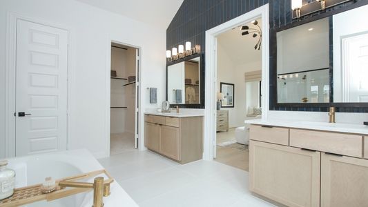 New construction Single-Family house 1925 La Grande Jatte, San Antonio, TX 78253 plan Willow - image 18