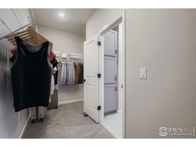 New construction Single-Family house 1839 Baltusrol Dr, Fort Collins, CO 80524 plan Silverthorne - image 19