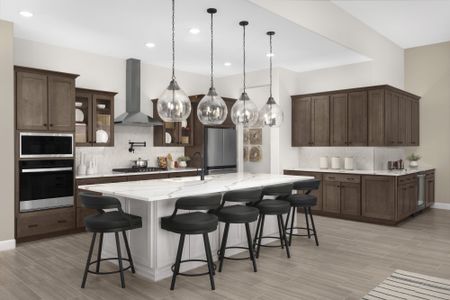New construction Single-Family house 7489 W Saguaro Perch Wy, Marana, AZ 85658 plan Hunter - image 9