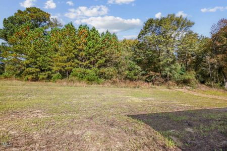 New construction Single-Family house 105 Eason Creek Way, Clayton, NC 27527 null- photo 27 27