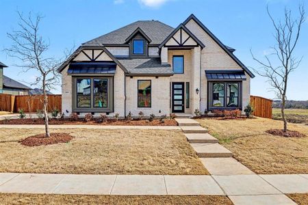 New construction Single-Family house 281 Hanging Garden Dr, Prosper, TX 75078 - image
