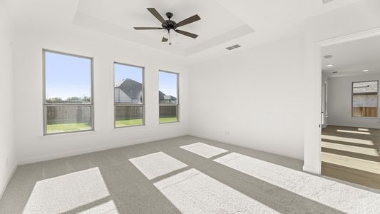 New construction Single-Family house 736 Grand Dale Dr, Lavon, TX 75166 plan Sequoia II - image 17