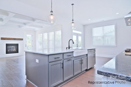 New construction Single-Family house 4178 Millstream Rd, Denver, NC 28037 - image 9