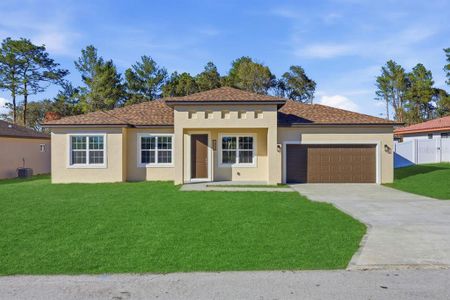 New construction Single-Family house 4443 Sw 152Nd St, Ocala, FL 34473 - image