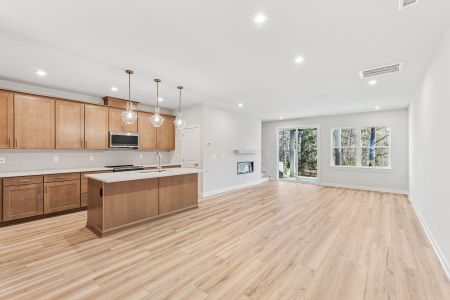 New construction  house 219 Oak Summit Pl, Chapel Hill, NC 27516 plan Onslow - image