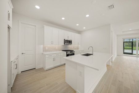 New construction Single-Family house 9533 Lunar Dove Ct, Sarasota, FL 34240 plan Banyan - image 4