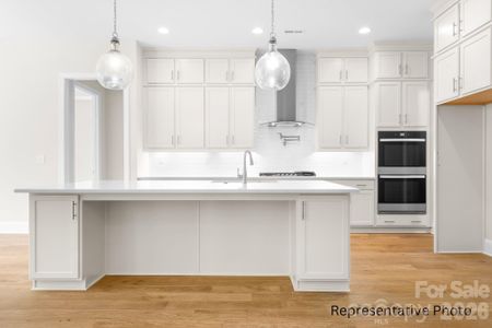 New construction Single-Family house 1069 Sage Pine Cir, Clover, SC 29710 - image 19