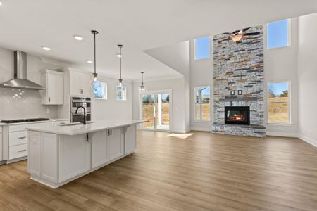 New construction Single-Family house 1720 Constitution Ln, Moore, SC 29369 plan Raleigh - image 7