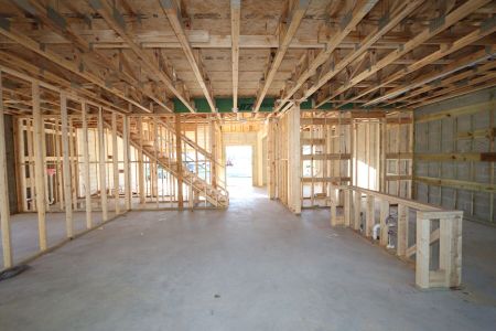 New construction Single-Family house 12008 Hilltop Farms Dr, Dade City, FL 33525 Alenza- photo 15 15