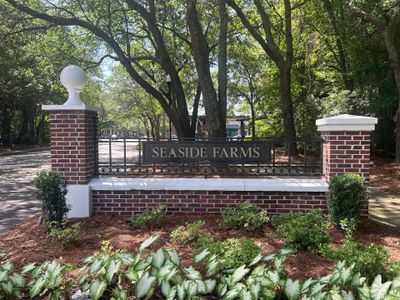 New construction Single-Family house 1416 Dahlia Dr, Mount Pleasant, SC 29464 - image