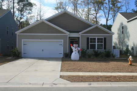 New construction Single-Family house 114 Valley Row, Summerville, SC 29483 - image