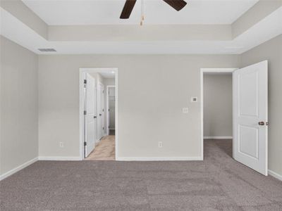 New construction Single-Family house 343 Shoals Trl, Dallas, GA 30132 plan Alexander - image 19