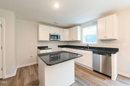 New construction Single-Family house 219 Hill Valley Dr, La Grange, NC 28551 - image