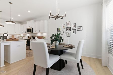 New construction Single-Family house 198 Retreat Dr, Fuquay Varina, NC 27526 - image 16