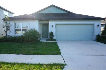 New construction Single-Family house 9512 Summers Cay Cir, Thonotosassa, FL 33592 null- photo 0