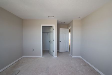 New construction Single-Family house 38338 Tobiano Loop, Dade City, FL 33525 Mira Lago- photo 100 100