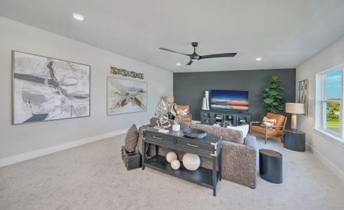 Waterset by ICI Homes in Apollo Beach - image 7