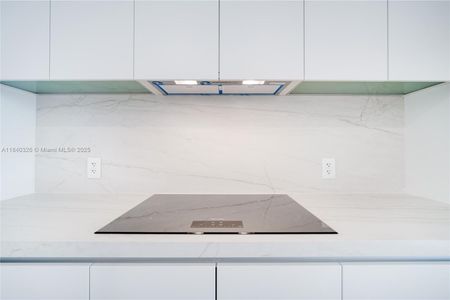 New construction Condo house 700 Ne 24 St, Unit 4203, Miami, FL 33137 - image 17