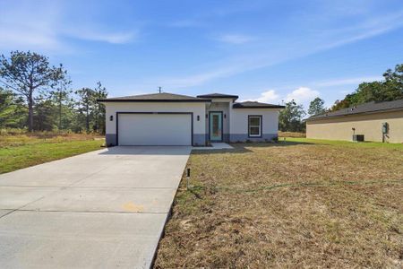 New construction Single-Family house 11192 N Terra Cotta Dr, Citrus Springs, FL 34434 - image