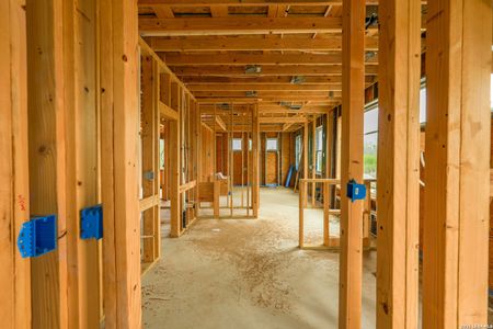New construction Single-Family house 16763 Fm 1333, Charlotte, TX 78011 - image