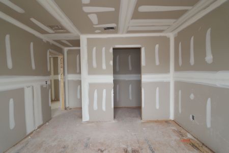 New construction Single-Family house 20264 Oriana Loop, Land O' Lakes, FL 34638 Santa Monica- photo 75 75