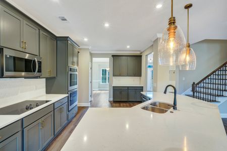 New construction Single-Family house 51 Hanover Pl, Richmond Hill, GA 31324 plan Hilton - image 12