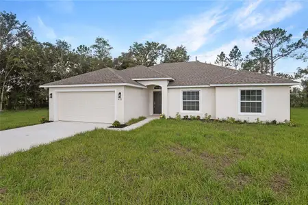 New construction Single-Family house 709 Fredrick Pl, Kissimmee, FL 34758 - image