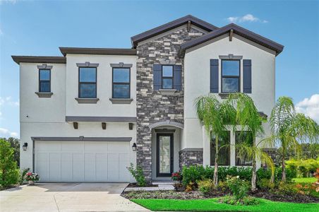 Hawkstone  by Homes by WestBay in Lithia - photo 9 9