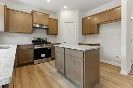 New construction Single-Family house 265 Bloomfield Cir, Canton, GA 30114 - image 7